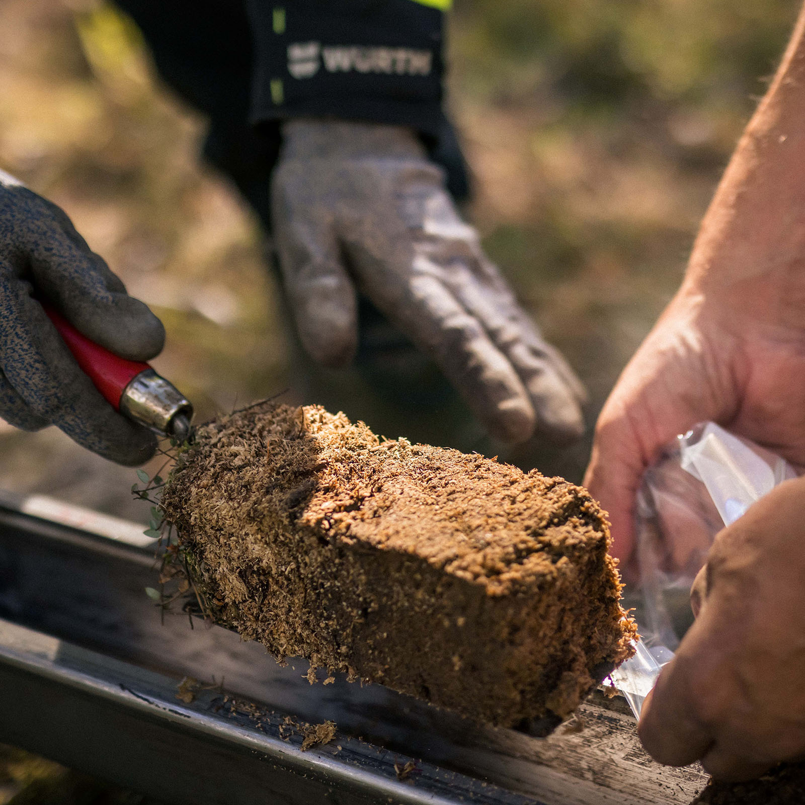 gtk-peat-reserach-home